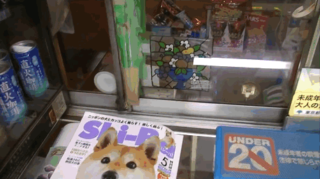 Every time a customer comes to shop, Shiba will push the glass door open.