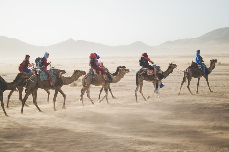 Camel riding is an exciting and unique experience in Egypt.  Photo: Unsplash.