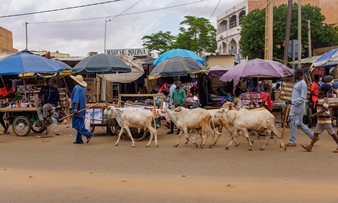 A market in the capital, Niamey, Niger.  Photo: WSJ.