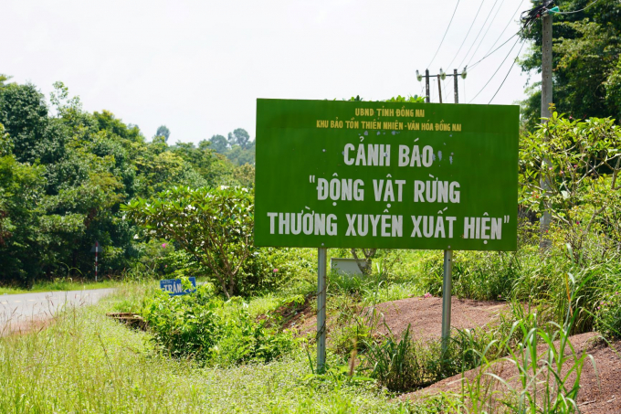 Dong Nai Nature - Culture Reserve.  (Photo: Thanh Nien Newspaper).