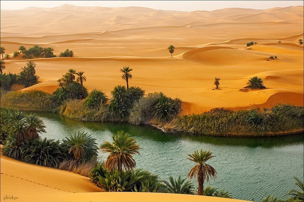 Illusion of a lake, an oasis in the Desert