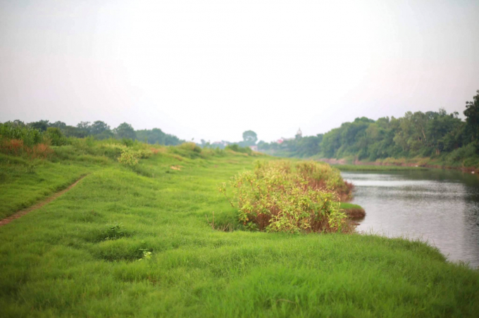 The river flows gently, above is the immense green lawn.  Photo: Nhu Mai
