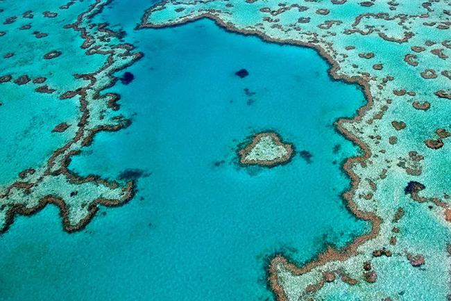 The Great Barrier Reef has an extremely rich biodiversity.
