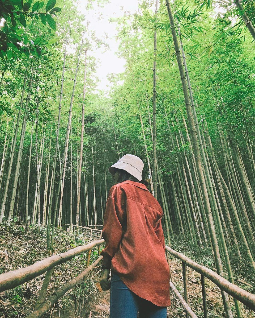 The Poetic Na Hang Tua Chu Bamboo Forest In Mu Cang Chai Viguide