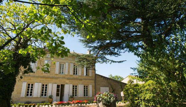 This plantation is called Chateau Monlot and includes a winery and a large vineyard
