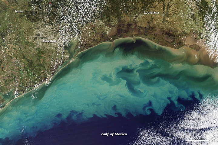The widespread dead zone in the Gulf of Mexico is caused by an above-average increase in water discharge from the Mississippi River in the three weeks preceding the measurement.