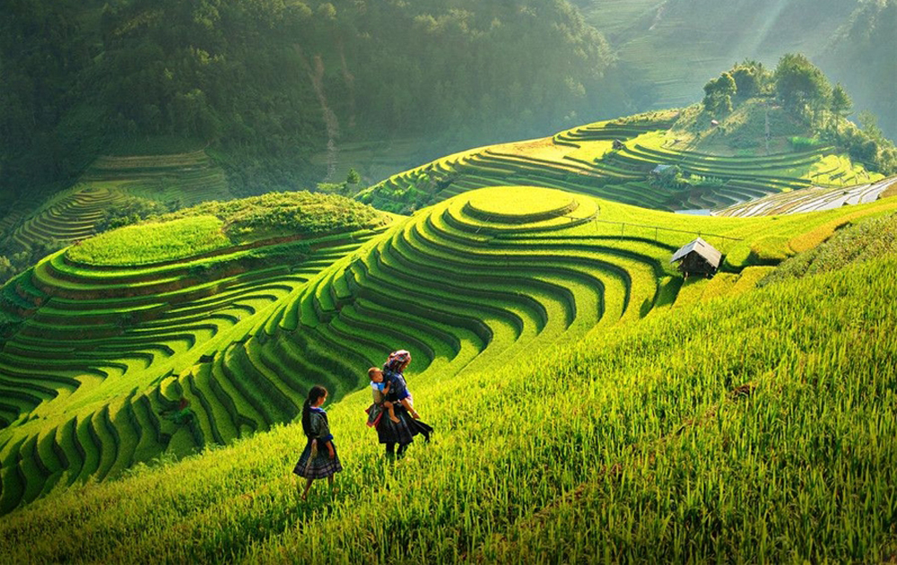 Vietnam's terraced fields are on the list of the most beautiful landscapes in the world.