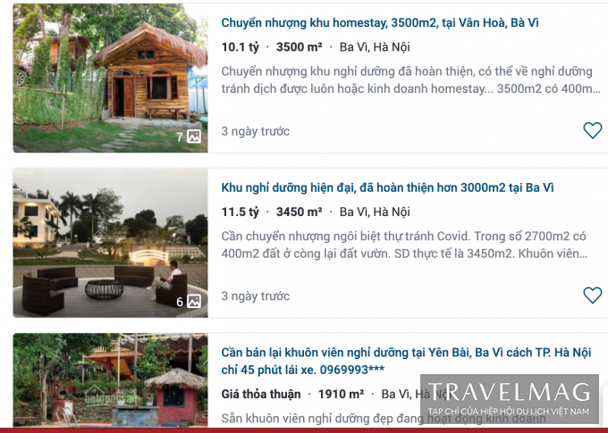 Resorts and homestays for sale on the website