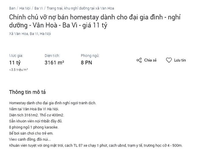 Homestay owner for sale because of default