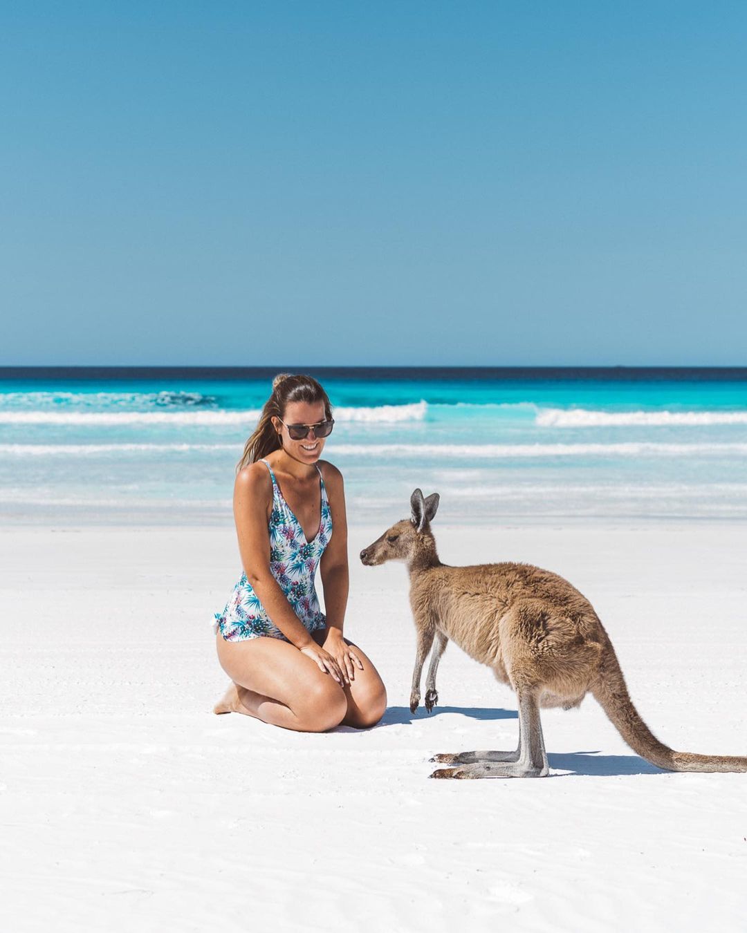 In general, the kangaroos here are friendly and pleasant, relatively small in size.  Photo: @allaboutwanderlust