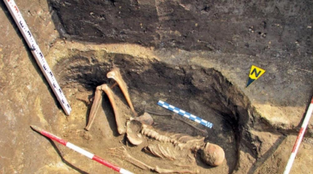 Giant skeleton unearthed in Buzaului Mountains, Romania