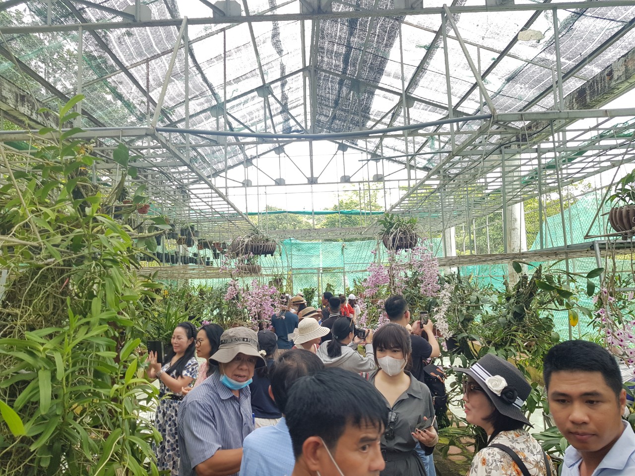 Orchid garden in Chu Mom Ray National Park.